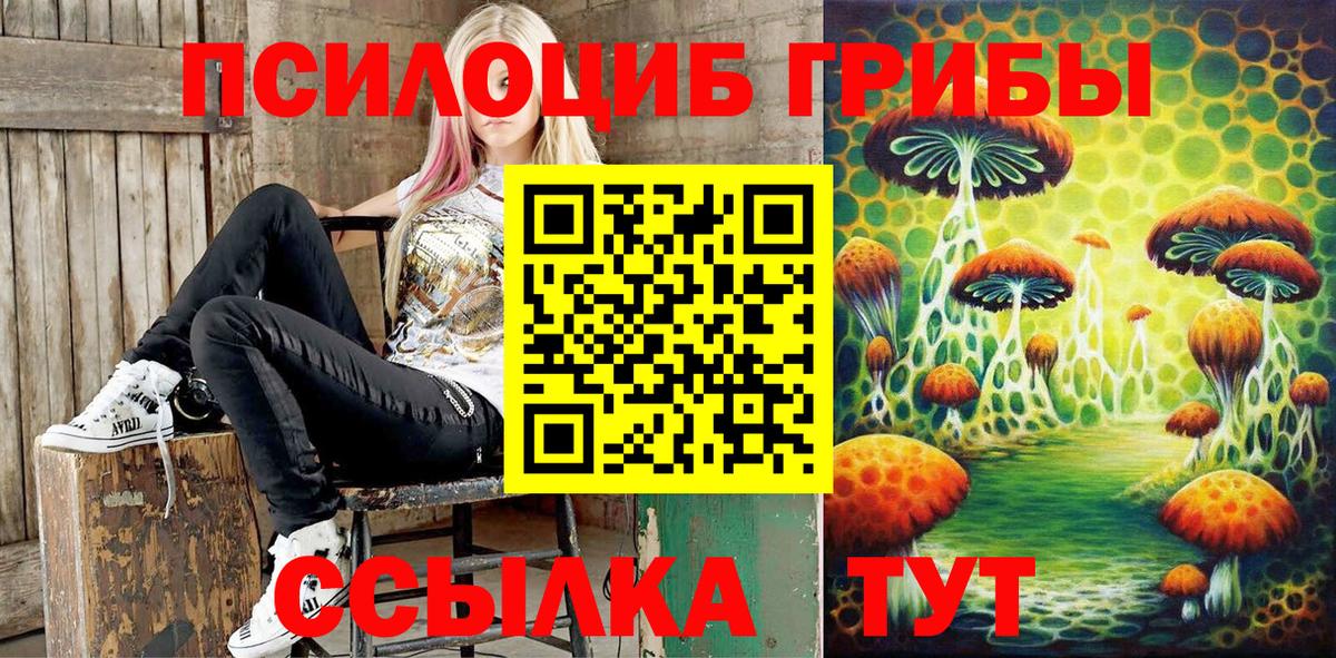 Нальчик  Псилоцибиновые грибы MAGIC MUSHROOMS  Галлюциногенные грибы Psilocybe  Вход с VPN 